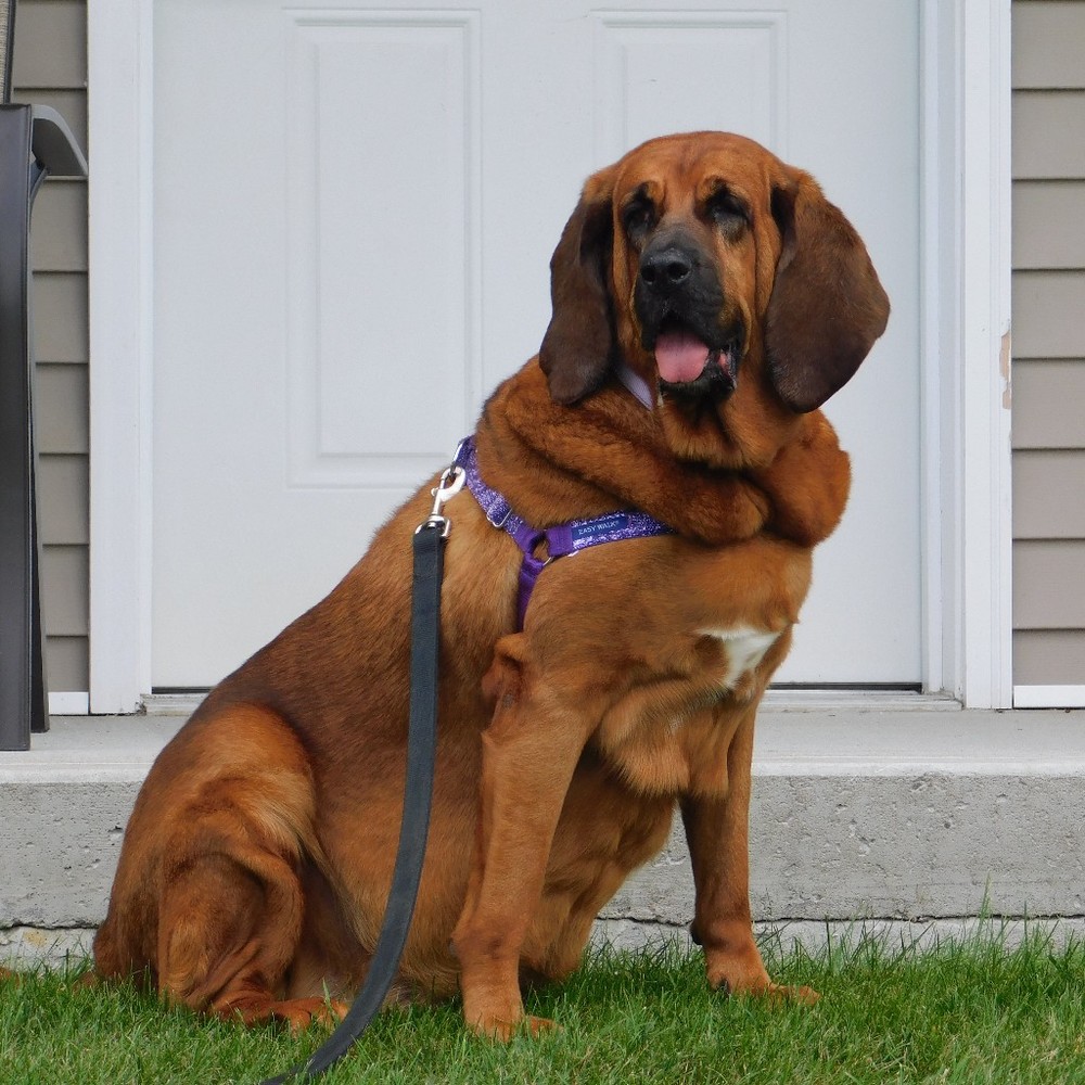 Meet your Posher, Michele